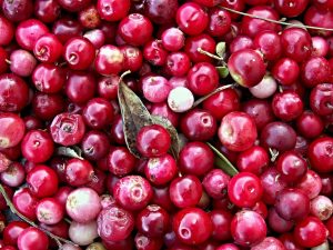 Cranberries & other berries + antioxidant rich!